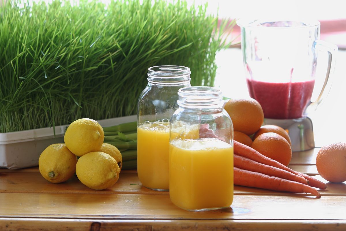 Sivananda-Camp-Detox-Juice-2506