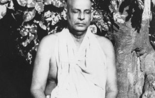 swami sivananda meditating