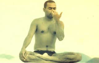 swami vishnu devananda pranayama