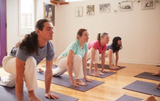 Yoga Classes in Toronto - Toronto Sivananda Yoga Vedanta Centre