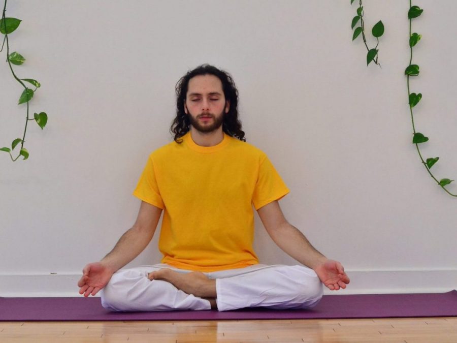 Yoga and Meditation in Toronto  Toronto Sivananda Yoga Vedanta Centre