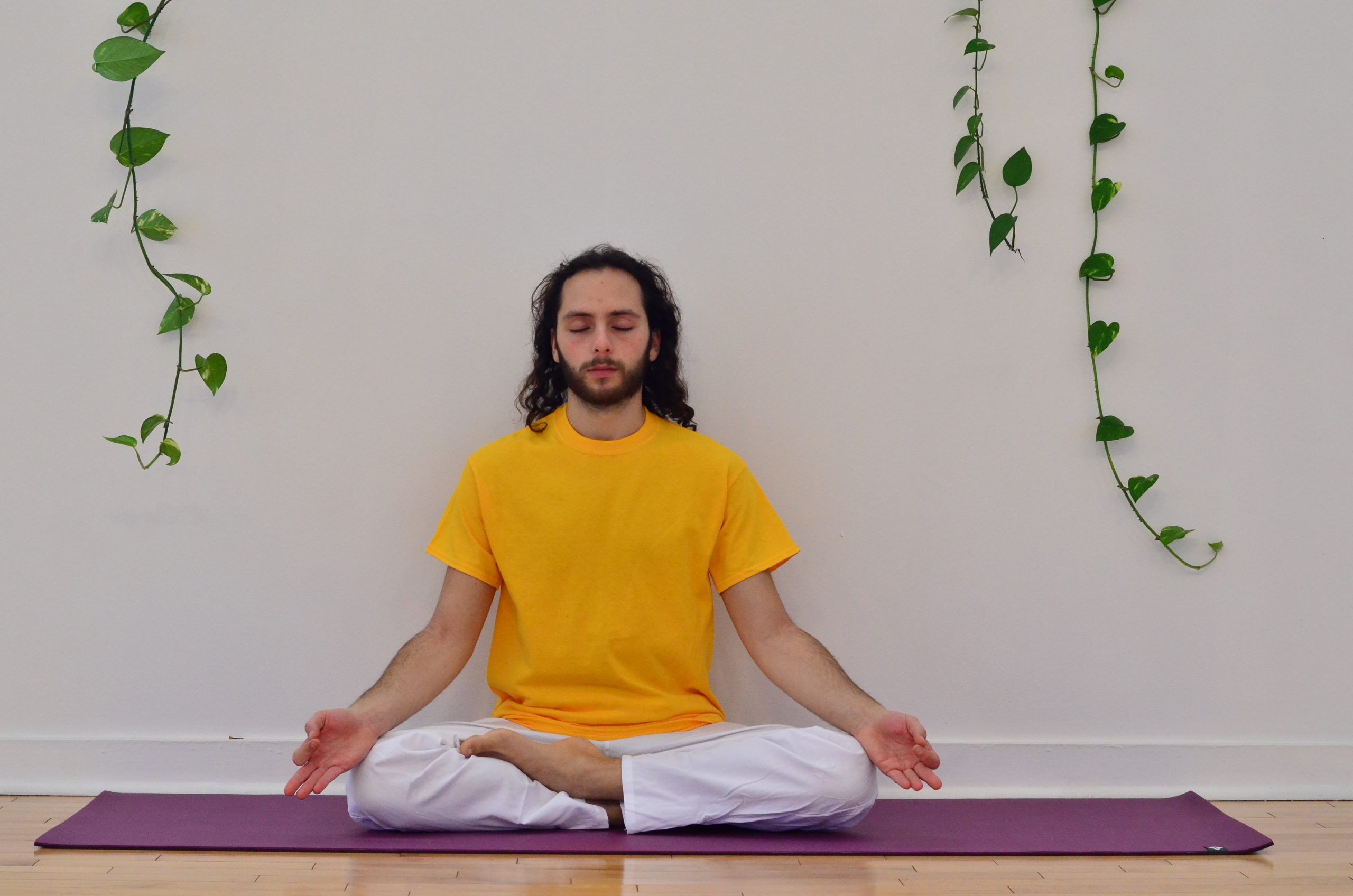 Meditation Yogi