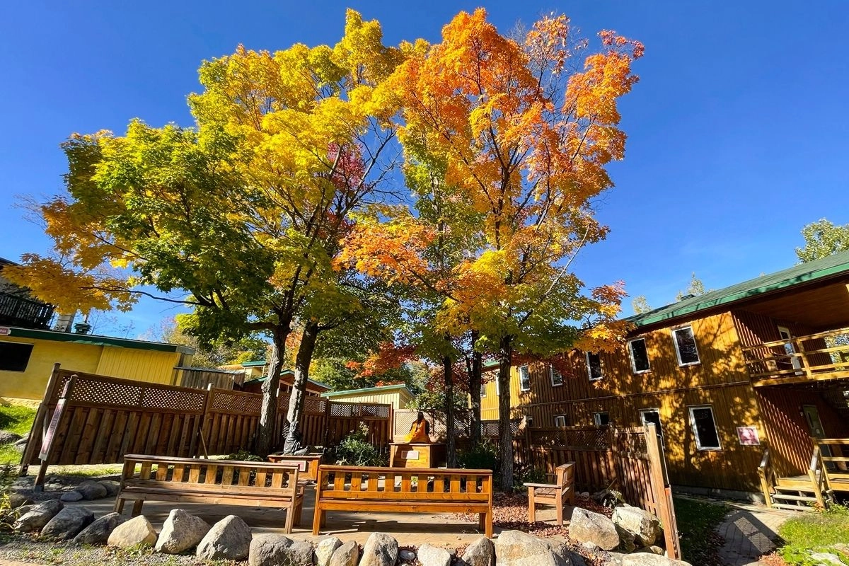 Sivananda-Yoga-Canada-2601-69