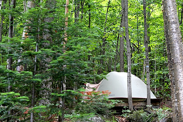 Tent accommodation among the trees at Sivananda Yoga Canada